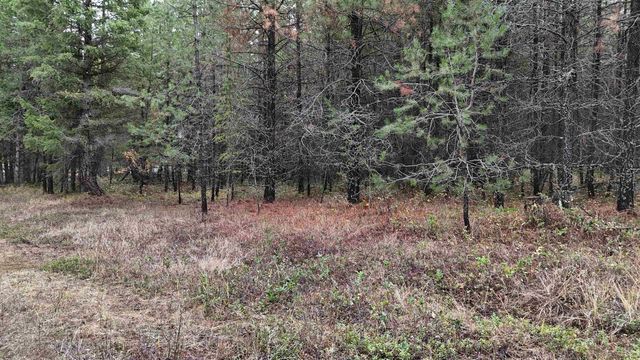 14506 Moonlight Ln, Newport, WA 99156