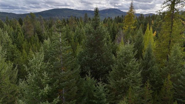 14506 Moonlight Ln, Newport, WA 99156