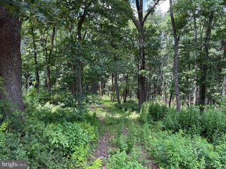 82 CABIN RD, Augusta, WV 26704