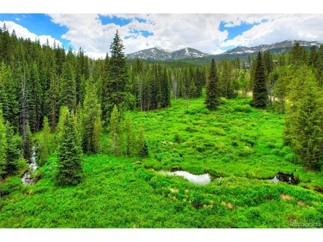 133 Adams Way, Breckenridge, CO 80424