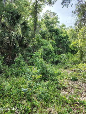 124 Lynwood Lane, Ormond Beach, FL 32174