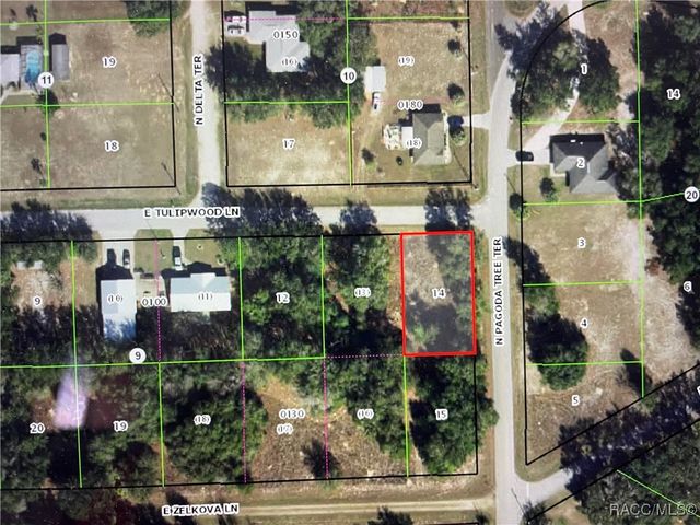 3798 E Tulipwood Lane, Hernando, FL 34442