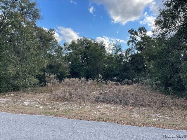 3798 E Tulipwood Lane, Hernando, FL 34442