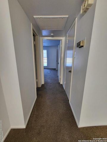 8401 N New Braunfels Ave Apt 350, San Antonio, TX 78209