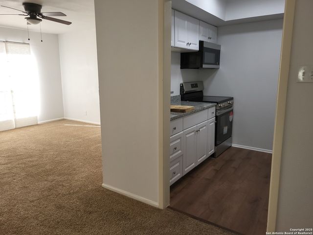 8401 N New Braunfels Ave Apt 350, San Antonio, TX 78209