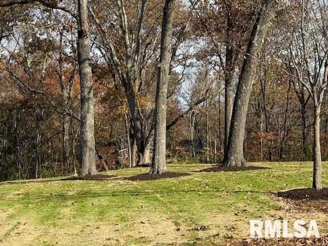 16429 N Hawthorne Hills Drive, Mt Vernon, IL 62864