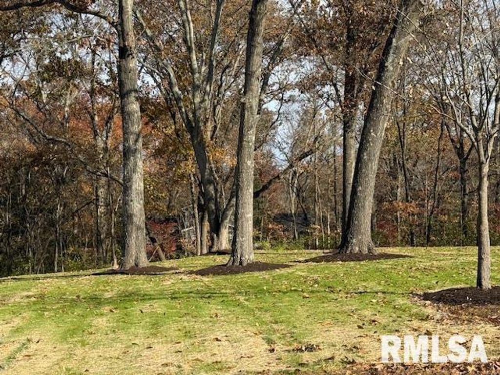 Image 3 of property listing at 16429 N Hawthorne Hills Drive, Mt Vernon, IL 62864