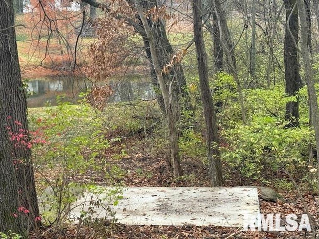 Image 77 of property listing at 16429 N Hawthorne Hills Drive, Mt Vernon, IL 62864