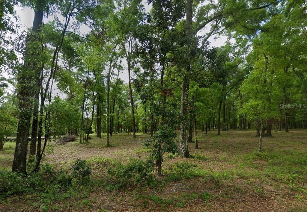 0 SW HOLLINGSWORTH STREET, Fort White, FL 32038
