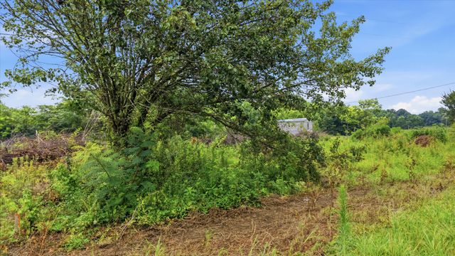319 County Road 315 Lot 3, Bryant, AL 35958