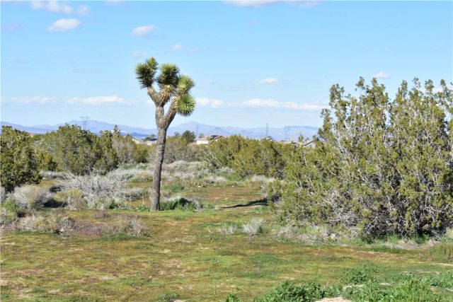 0 Escondido Ave, Hesperia, CA 92344