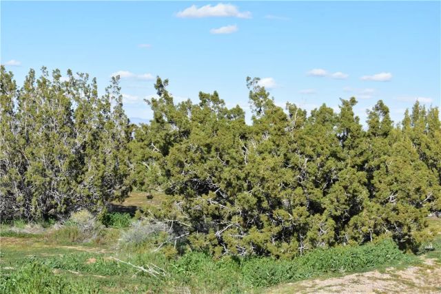 0 Escondido Ave, Hesperia, CA 92344