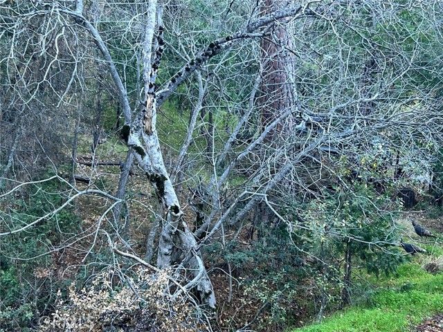 0 Snowy Creek Way, Coarsegold, CA 93614