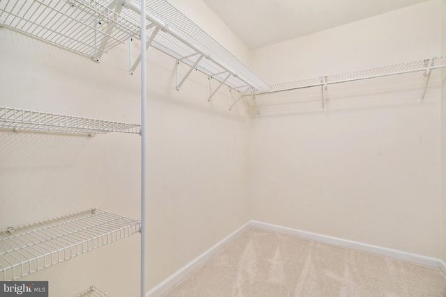 569 TRIPLE J ROAD, Berryville, VA 22611