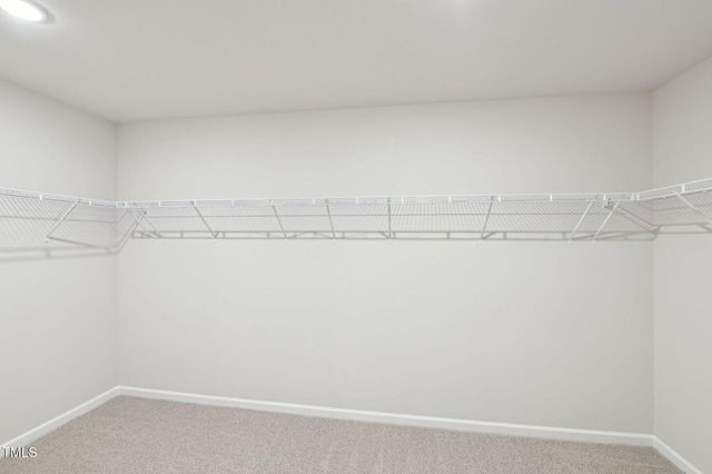 1232 Whitespire Way, Zebulon, NC 27597