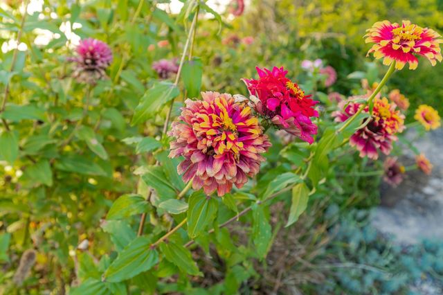 3752 Stone Point Drive NE, Rochester, MN 55906