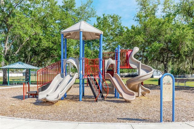 3006 SPRAWLING OAKS PLACE, Valrico, FL 33596