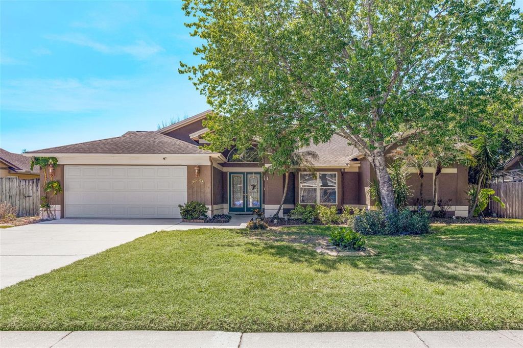 3006 SPRAWLING OAKS PLACE, Valrico, FL 33596