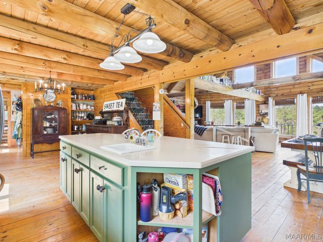 15648 County Road 9 ., Fitzpatrick, AL 36029