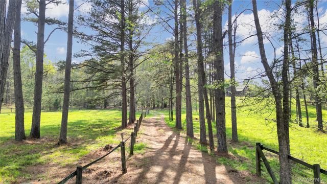 15648 County Road 9 ., Fitzpatrick, AL 36029