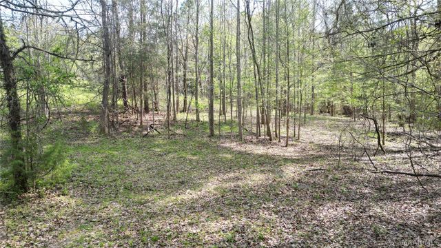 15648 County Road 9 ., Fitzpatrick, AL 36029