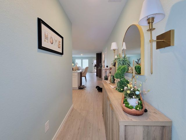 18670 Scopello Drive, New Caney, TX 77357