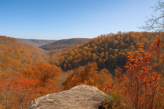 32 Mossy Rock Ln, Monteagle, TN 37356