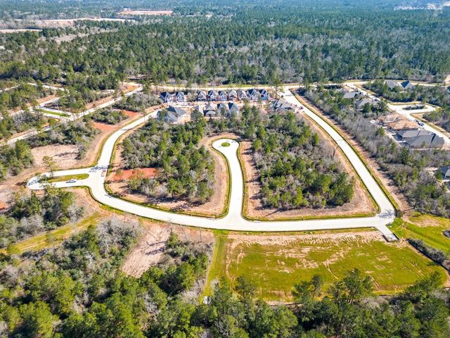 26720 Stein Ranch Road, Montgomery, TX 77316