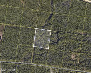 Lot 301 Greenview Ranches, Wilmington, NC 28411