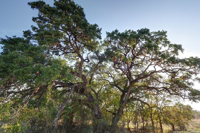 638 BORCHERS BLVD, New Braunfels, TX 78132