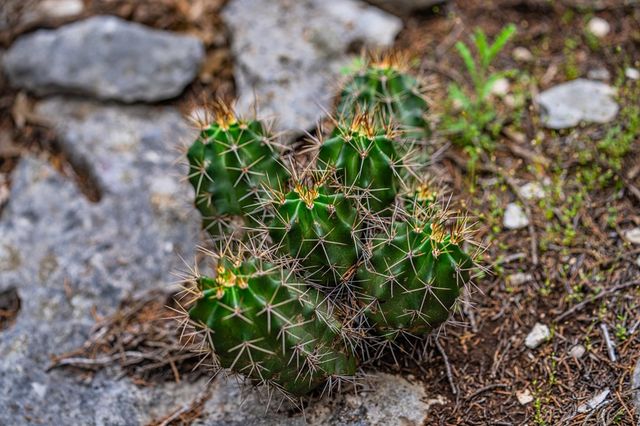 195&200 Countless Views Dr, Kerrville, TX 78028