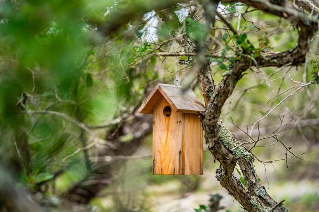 195&200 Countless Views Dr, Kerrville, TX 78028