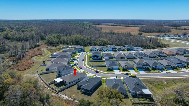 20076 AZUL MARBLE LOOP, Land O Lakes, FL 34638