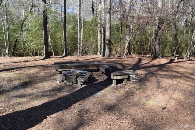 897 Mullins Road, Eclectic, AL 36024