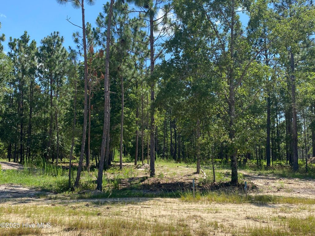 8738 Compass Pointe West Wynd NE, Leland, NC 28451