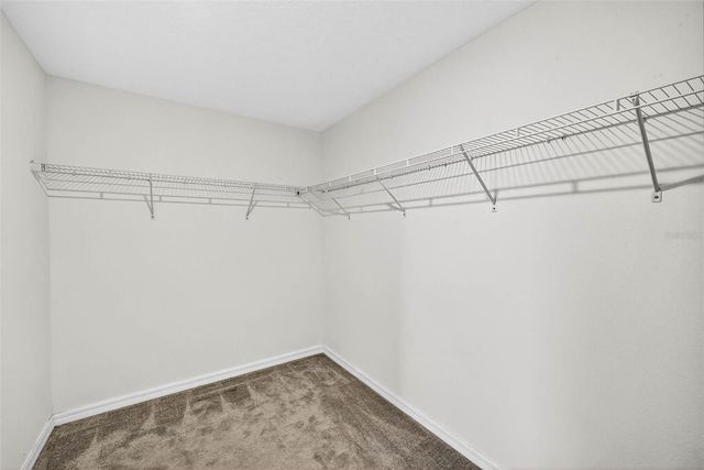 9907 BRANCHING SHIP TRACE, Wesley Chapel, FL 33545