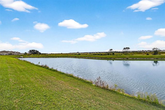 9907 BRANCHING SHIP TRACE, Wesley Chapel, FL 33545