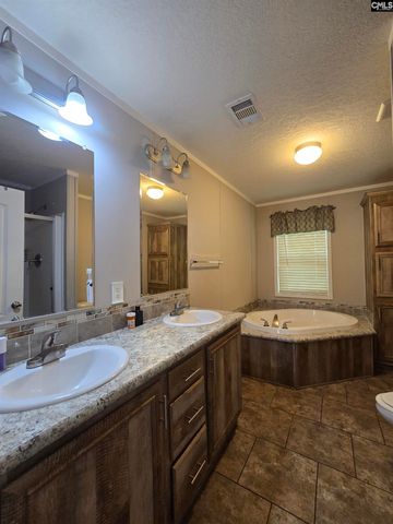 1011 Blacksgate E, Prosperity, SC 29127