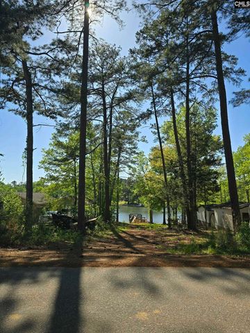 1011 Blacksgate E, Prosperity, SC 29127