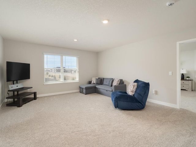 10691 Bent Pine Lane, Woodbury, MN 55129