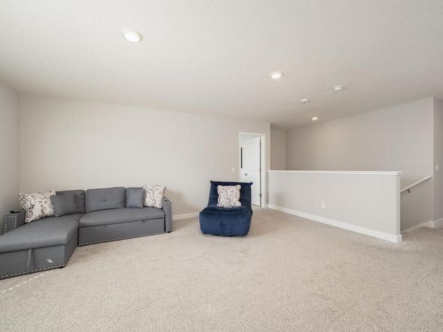 10691 Bent Pine Lane, Woodbury, MN 55129