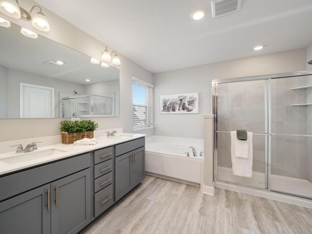 10691 Bent Pine Lane, Woodbury, MN 55129