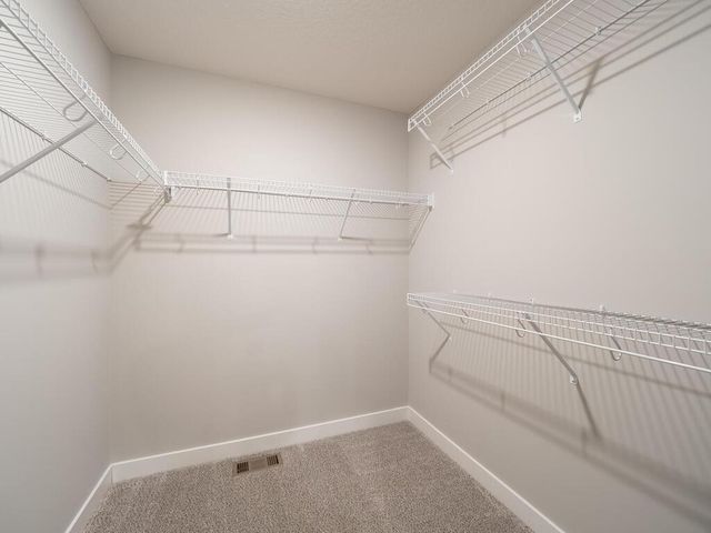 10691 Bent Pine Lane, Woodbury, MN 55129