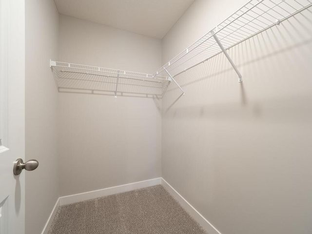 10691 Bent Pine Lane, Woodbury, MN 55129