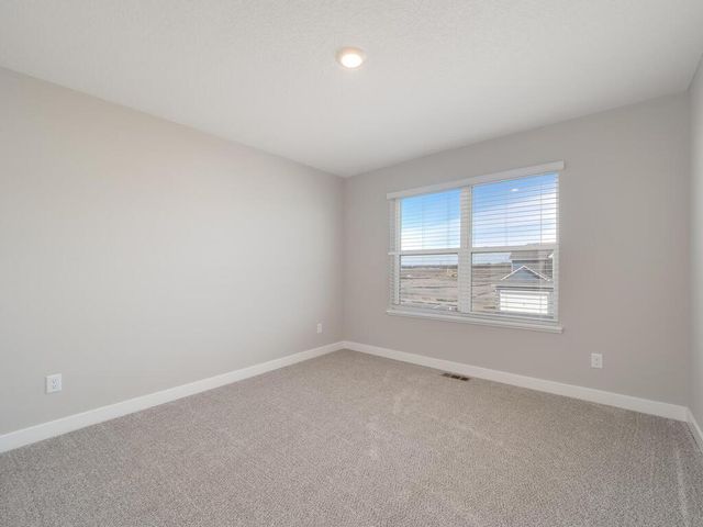 10691 Bent Pine Lane, Woodbury, MN 55129