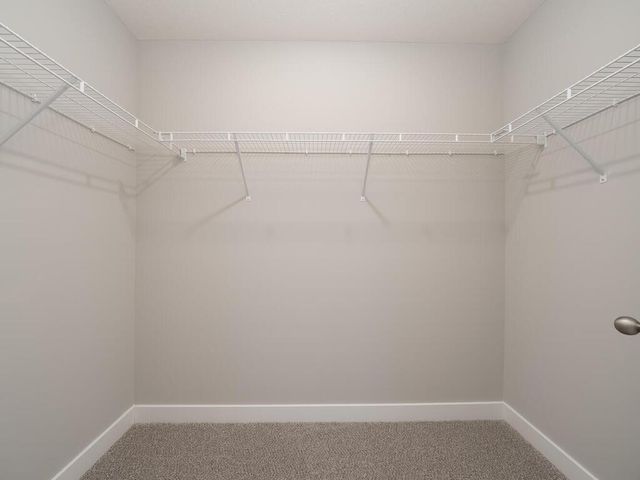 10691 Bent Pine Lane, Woodbury, MN 55129