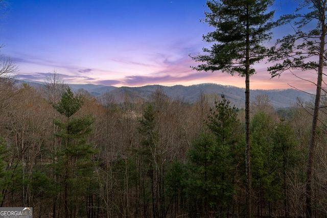 272 Laurel Mountain Road, Cherry Log, GA 30522