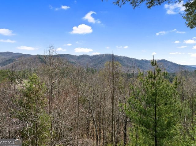272 Laurel Mountain Road, Cherry Log, GA 30522