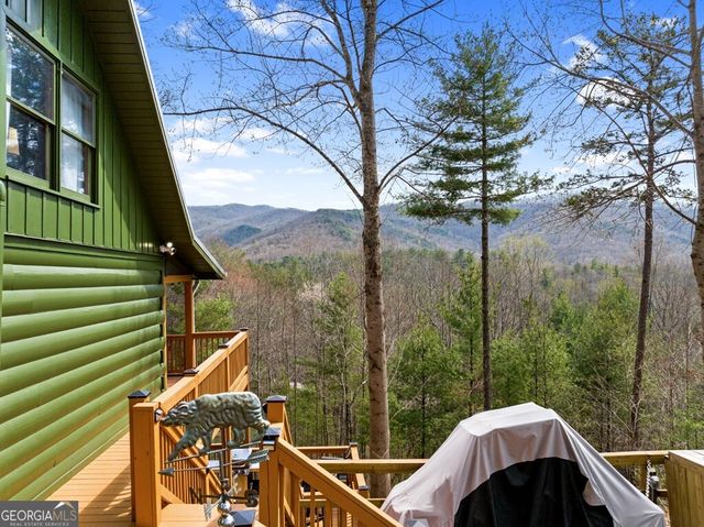 272 Laurel Mountain Road, Cherry Log, GA 30522