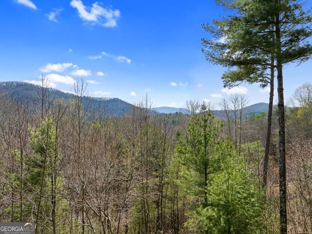 272 Laurel Mountain Road, Cherry Log, GA 30522